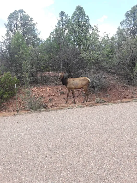 Houston Mesa Horse Campground 1