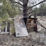 Pine Grove Campground