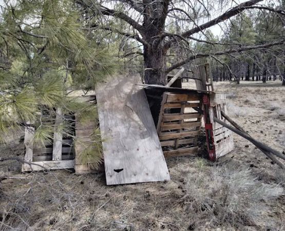 Pine Grove Campground
