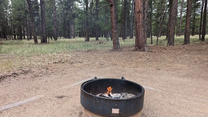 Pine Grove Campground 6
