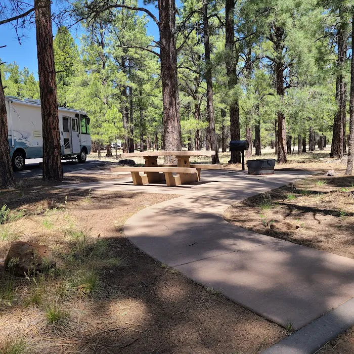 Pine Grove Campground 2