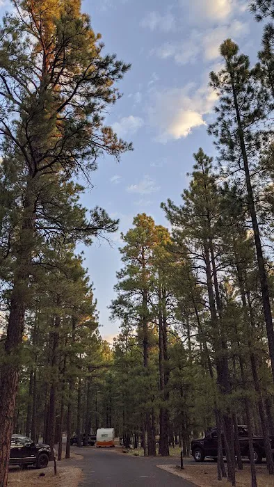 Pine Grove Campground 1