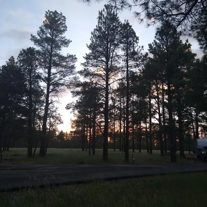 Pine Grove Campground 3