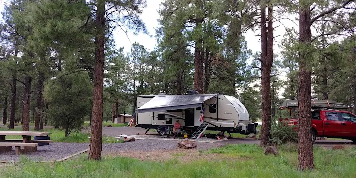 Pine Grove Campground 8