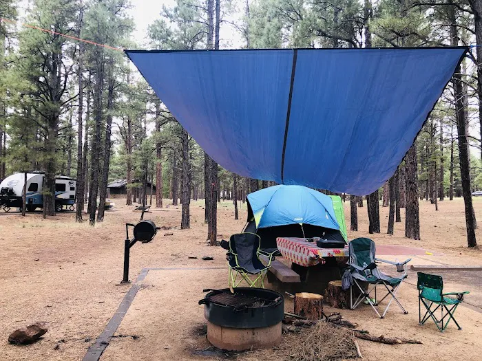 Pine Grove Campground 9