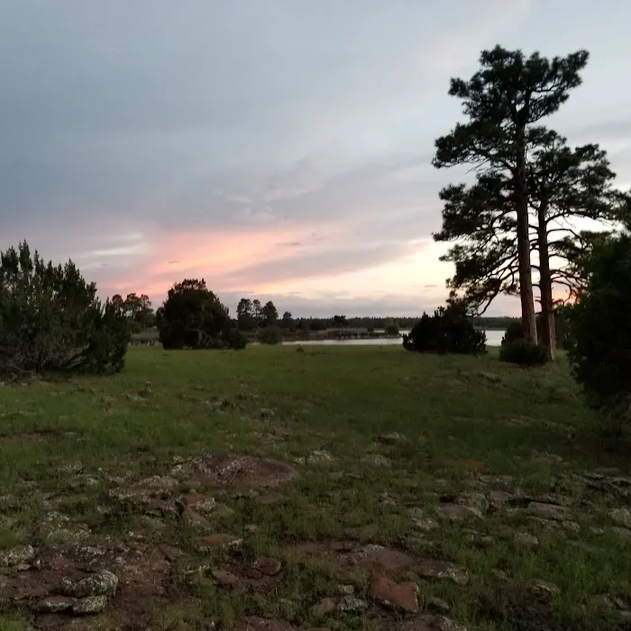 Forked Pine Campground 8