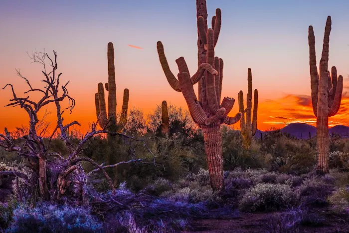 Cave Creek Regional Park Campgrounds 1