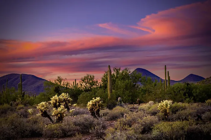 Cave Creek Regional Park Campgrounds 2