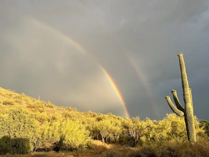 Cave Creek Regional Park Campgrounds 5