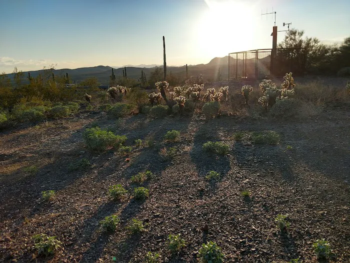 Roadrunner Campground 9