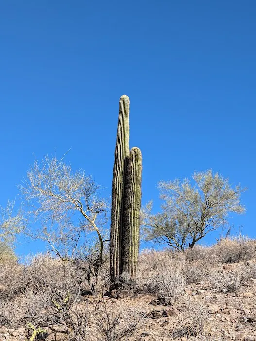 Roadrunner Campground 5