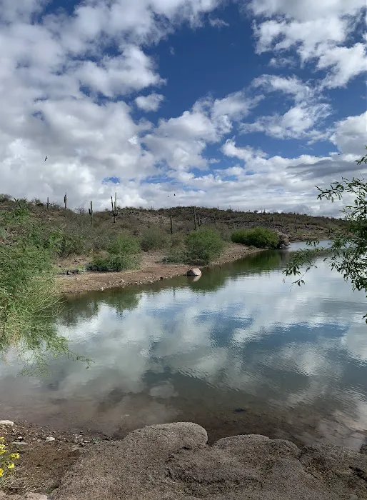 Desert Tortoise Campground 8