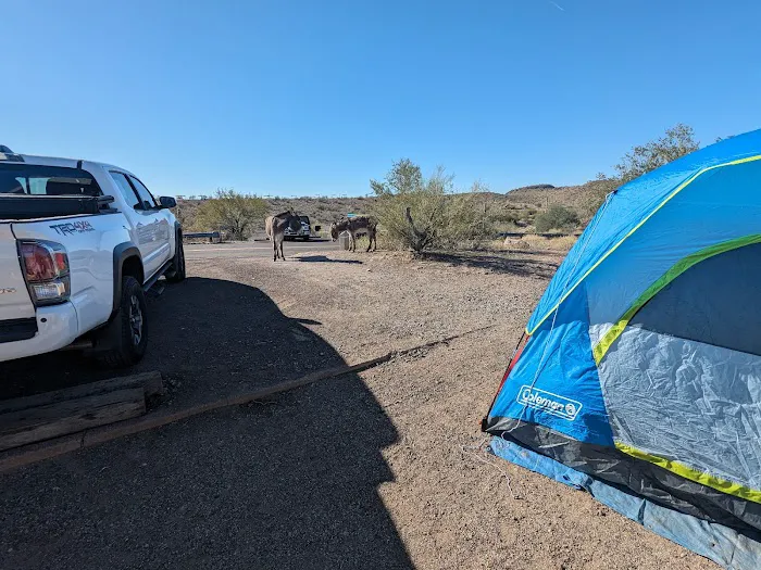Desert Tortoise Campground 5
