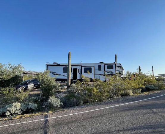 Desert Tortoise Campground