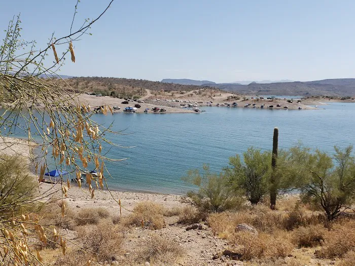 Desert Tortoise Campground 7