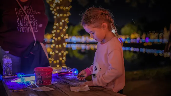 The Christmas Train 9