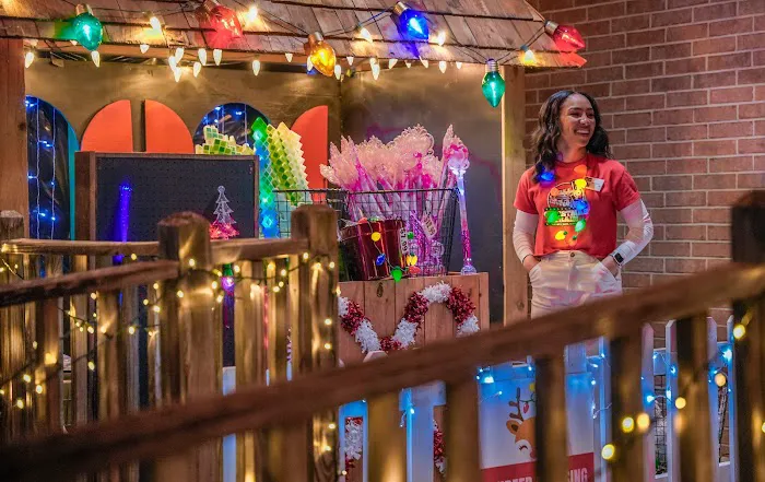 The Christmas Train 2