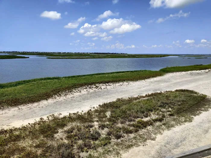 Bay Side Campground 6