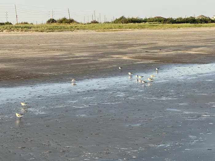 Galveston Island State Park Campgrounds 4