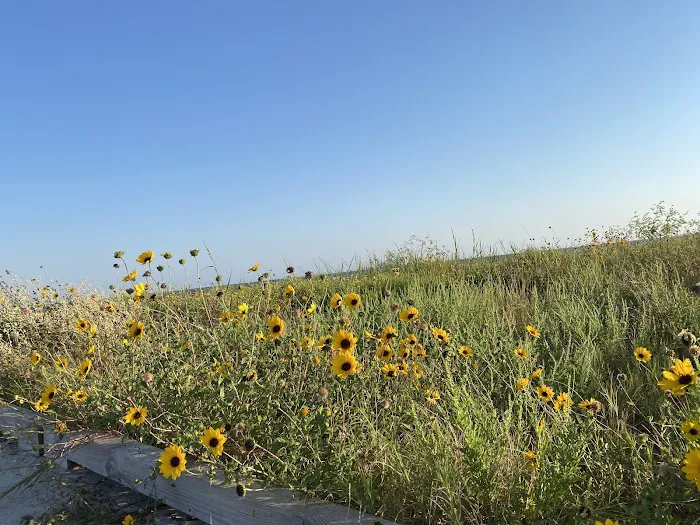 Galveston Island State Park Campgrounds 8