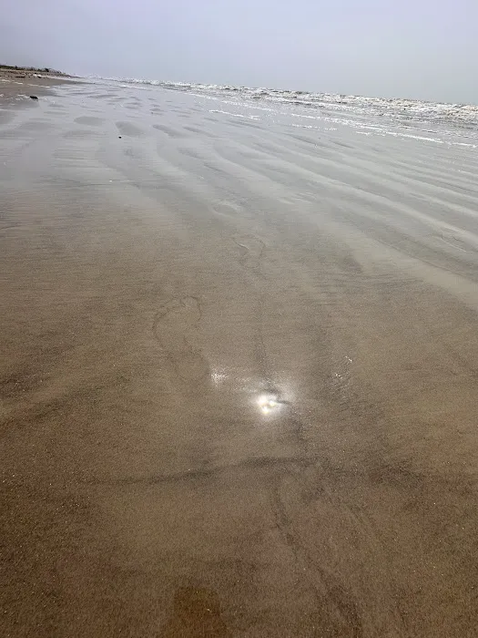 Galveston Island State Park Campgrounds 9