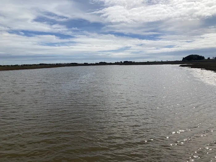 Galveston Island State Park Campgrounds 6