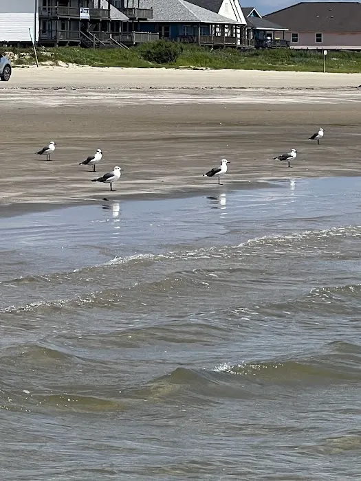 Surfside 1