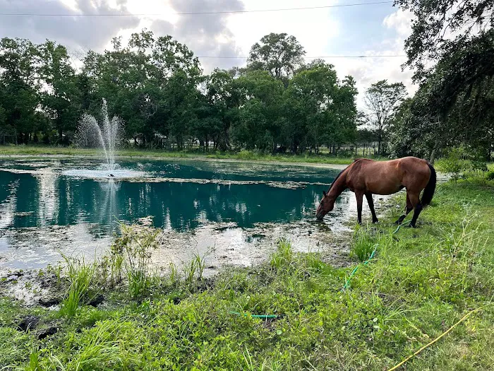 Gray Ranch 5