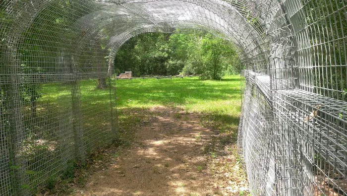 Camp Karankawa 8