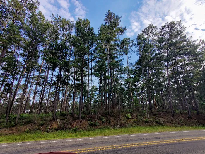 SAM HOUSTON (Houston/Conroe/Huntsville Area) 9
