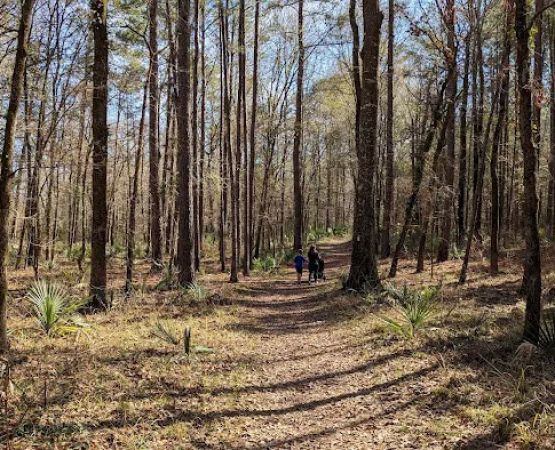 Stubblefield Lake Recreation Area