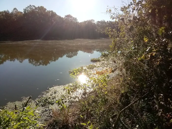 Stubblefield Lake Recreation Area 3