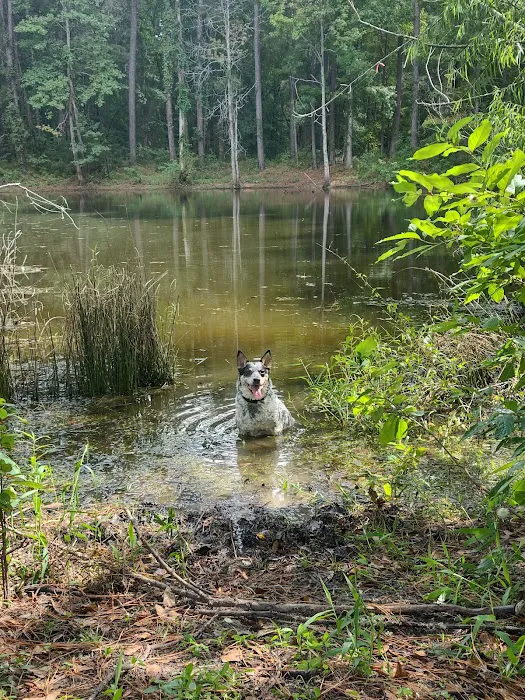Kelly's Pond Motorized Campground 5