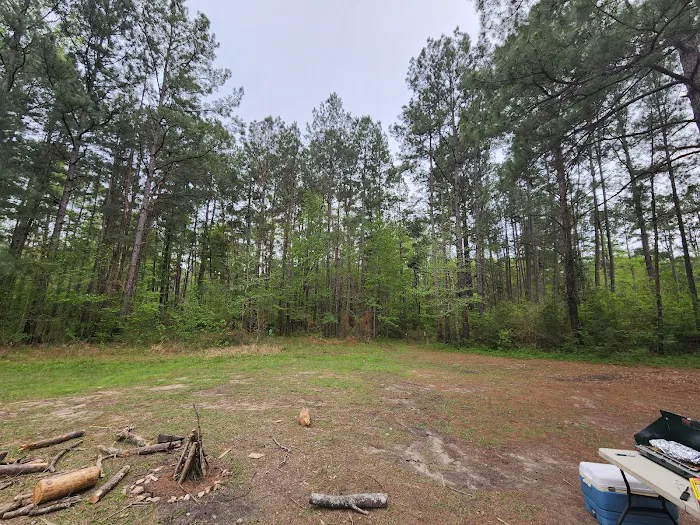 Kelly's Pond Motorized Campground 2