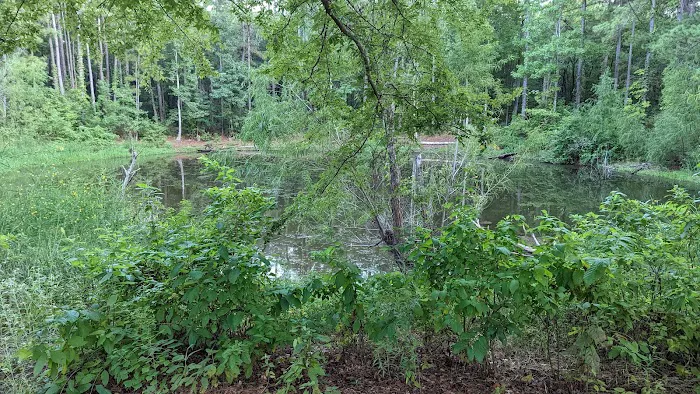 Kelly's Pond Motorized Campground 3