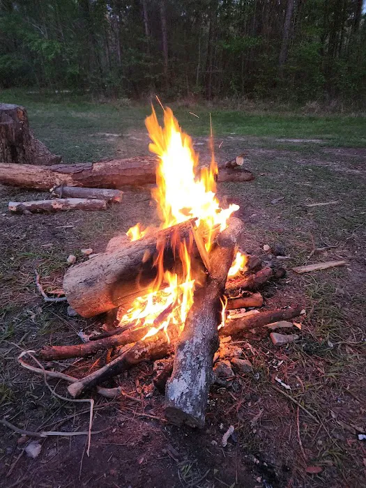 Kelly's Pond Motorized Campground 4