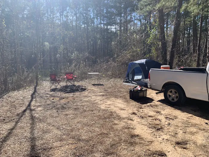 Kelly's Pond Motorized Campground 9