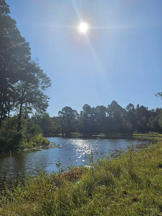 Camp Caney Creek 3