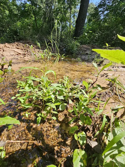 Camp Caney Creek 6
