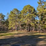 Big Woods Hunters Camp