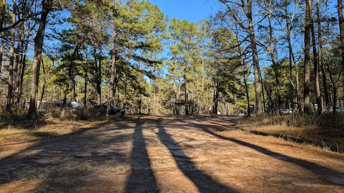 Big Woods Hunters Camp 4