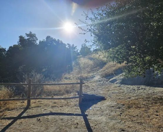 Pavo Group Campsite