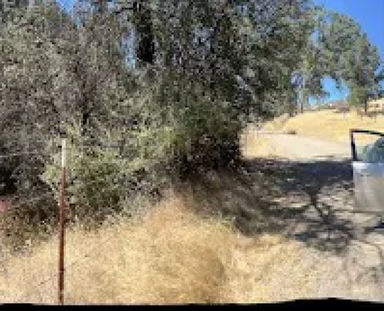 Blackfoot Campsite