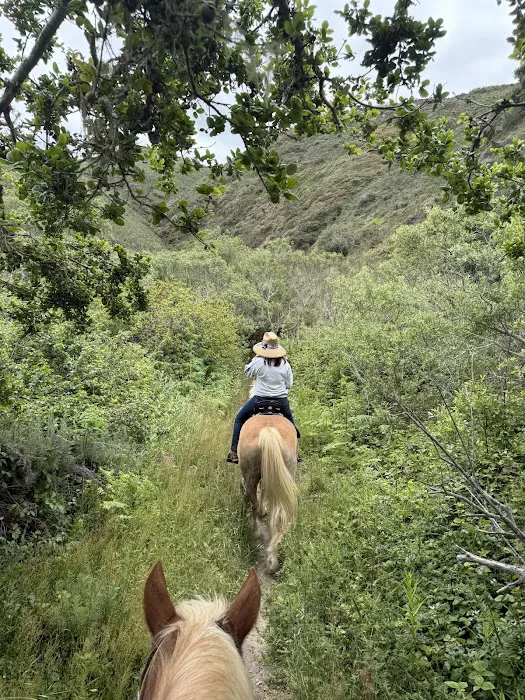 Montana De Oro Horse Camp 8