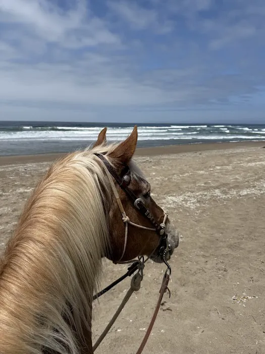 Montana De Oro Horse Camp 4