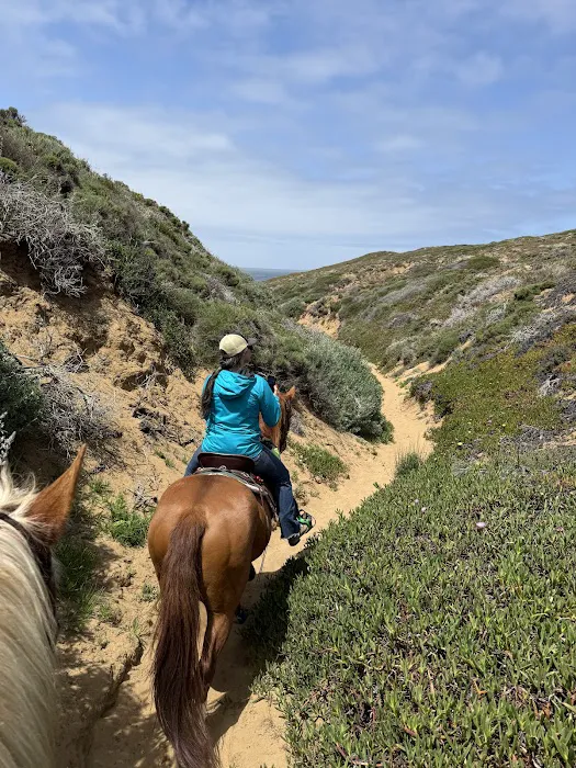 Montana De Oro Horse Camp 3