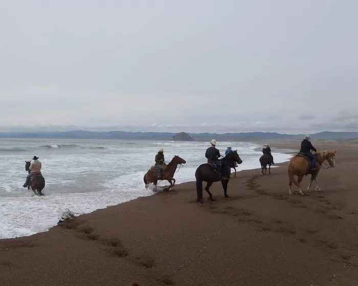 Montana De Oro Horse Camp 2