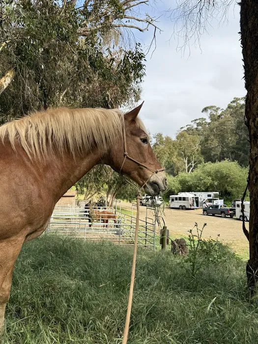 Montana De Oro Horse Camp 5