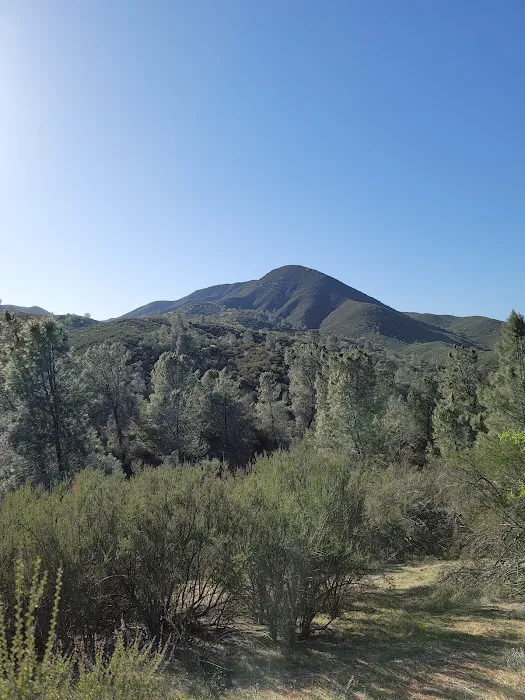 Friis Campground 6