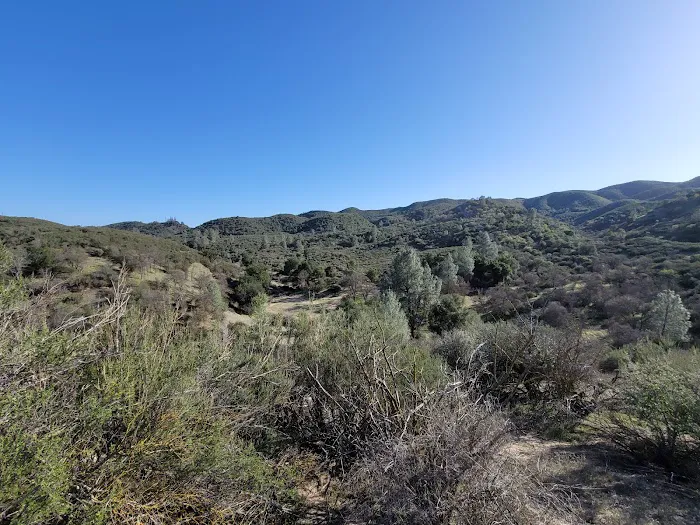 Friis Campground 5